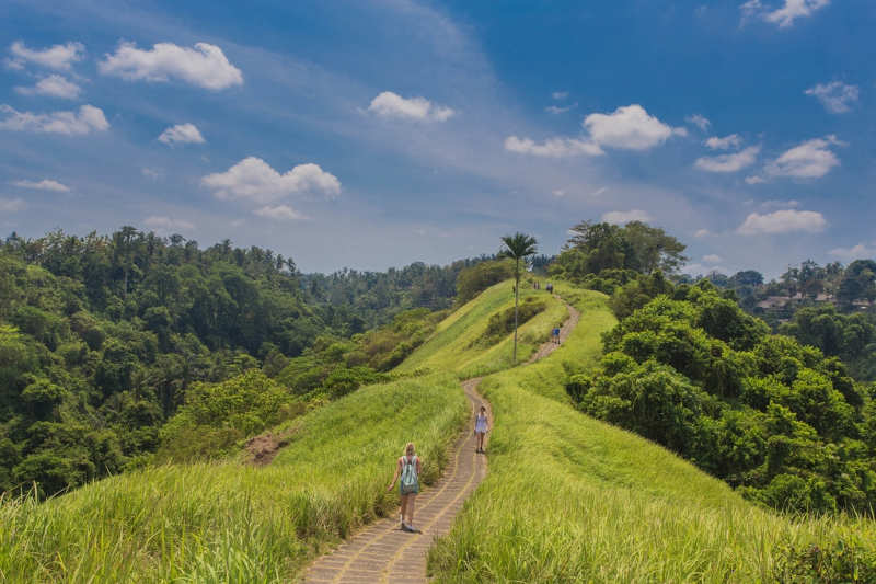 15 Mejores Lugares Que Ver en Ubud Bali, Indonesia - Viajar sin Prisa