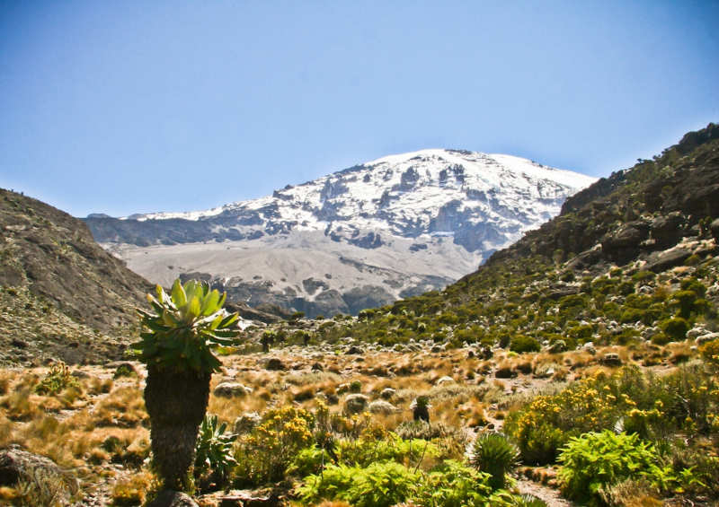 Monte-Kilimanjaro-National-Park-que-hacer-en-tanzania