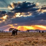 15 Mejores lugares Que Ver en Tanzania