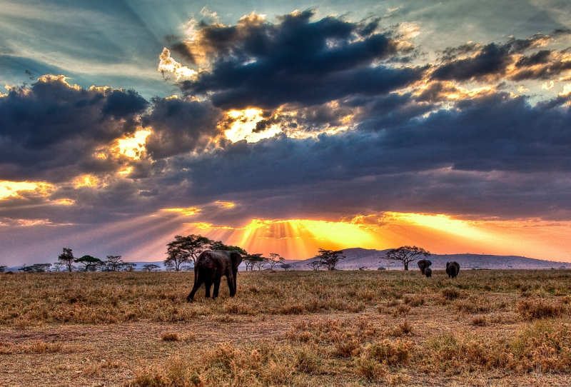 Parque-Nacional-del-Serengeti-que-ver-en-tanzania