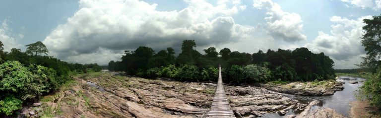 Korup-National-Park-que-ver-en-camerun