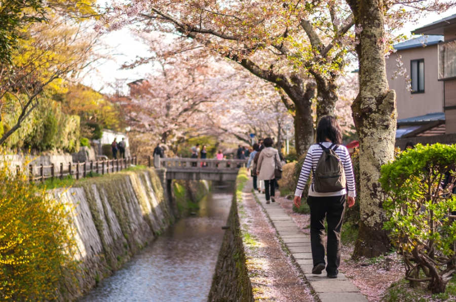 Camino del filósofo - que hacer y ver en Kioto