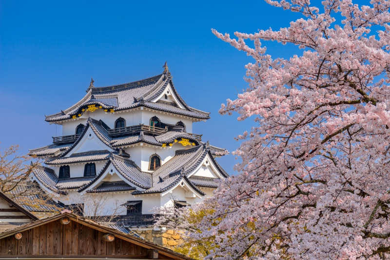 Castillo de hikone - tours en kioto