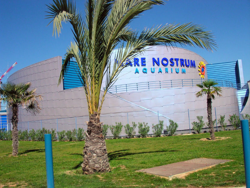 Aquarium Mare Nostrum