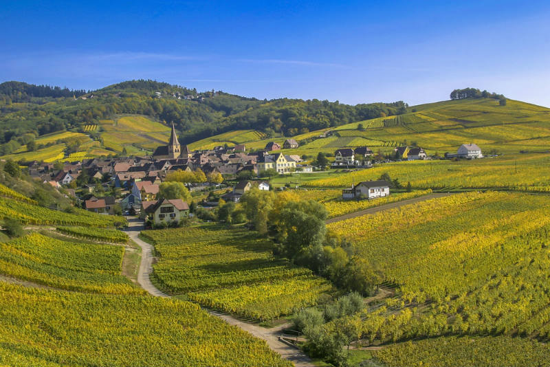 Ruta del vino de Alsacia