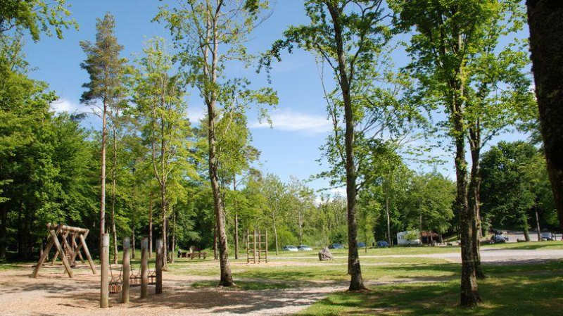 Curraghchase-Forest-Park-que-ver-en-limerick