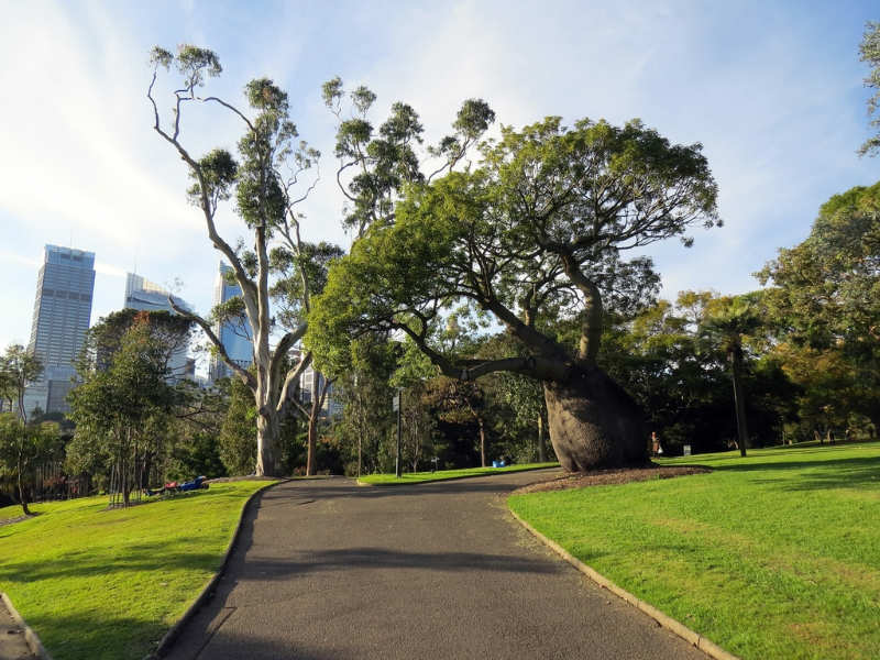 Royal-Botanic-Gardens-Sydney