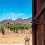 15 Mejores Lugares que Ver en Tijuana, México