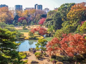 25 Mejores Lugares Que Ver en Tokio, Japón