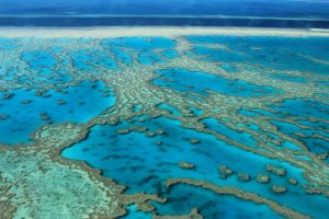 15 Mejores Lugares Que Ver en Cairns, Australia