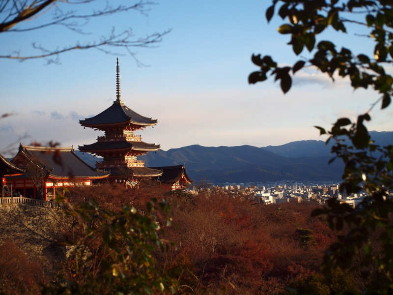 Kyoto - que ver en japon